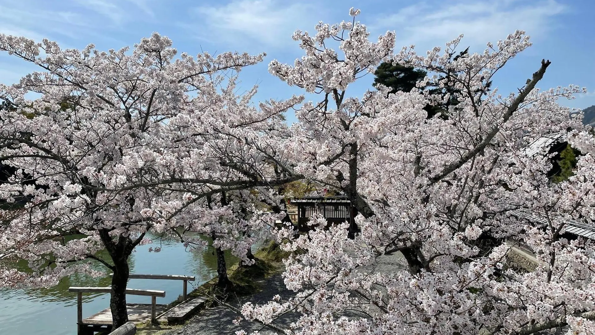 Hotel Amanek Kyoto Kawaramachi Gojo