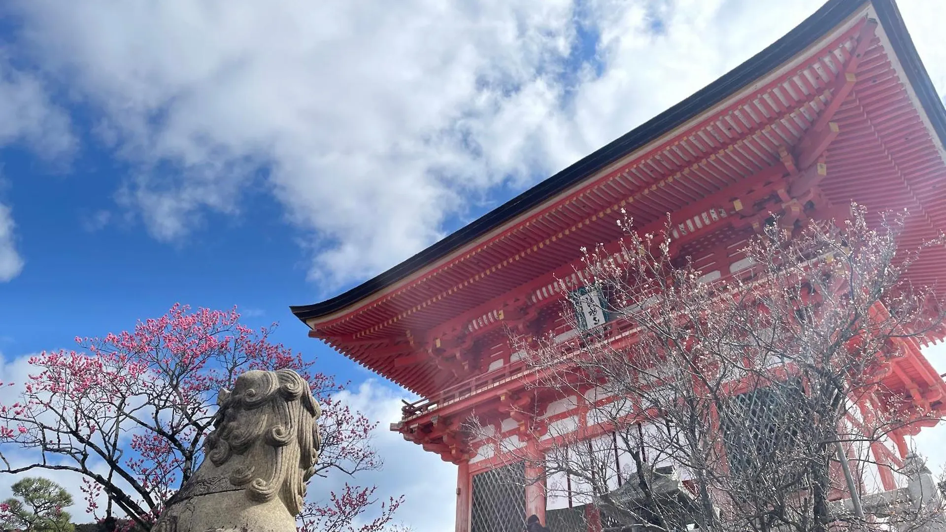 Hotel Amanek Kyoto Kawaramachi Gojo 3*,  Japonia