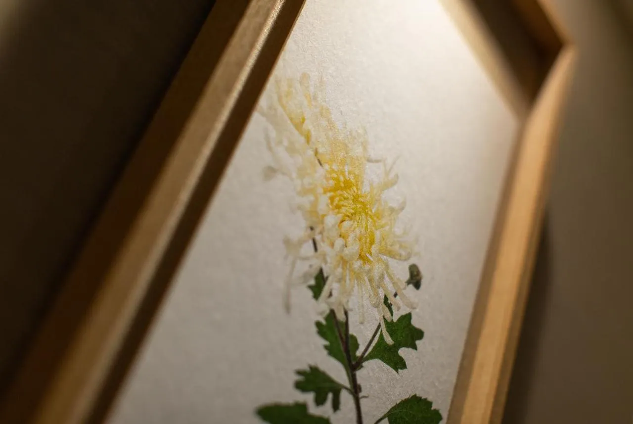 Hotel Amanek Kyoto Kawaramachi Gojo